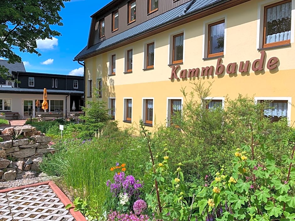 Hotel Dachsbaude & Kammbaude