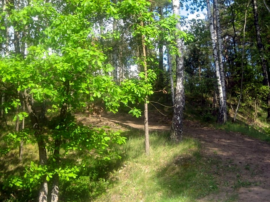 Dom letniskowy POŚRÓD KASZUBSKIEGO LASU