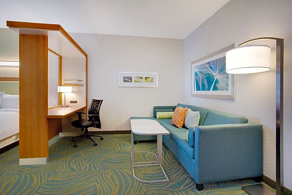 SpringHill Suites by Marriott Murray