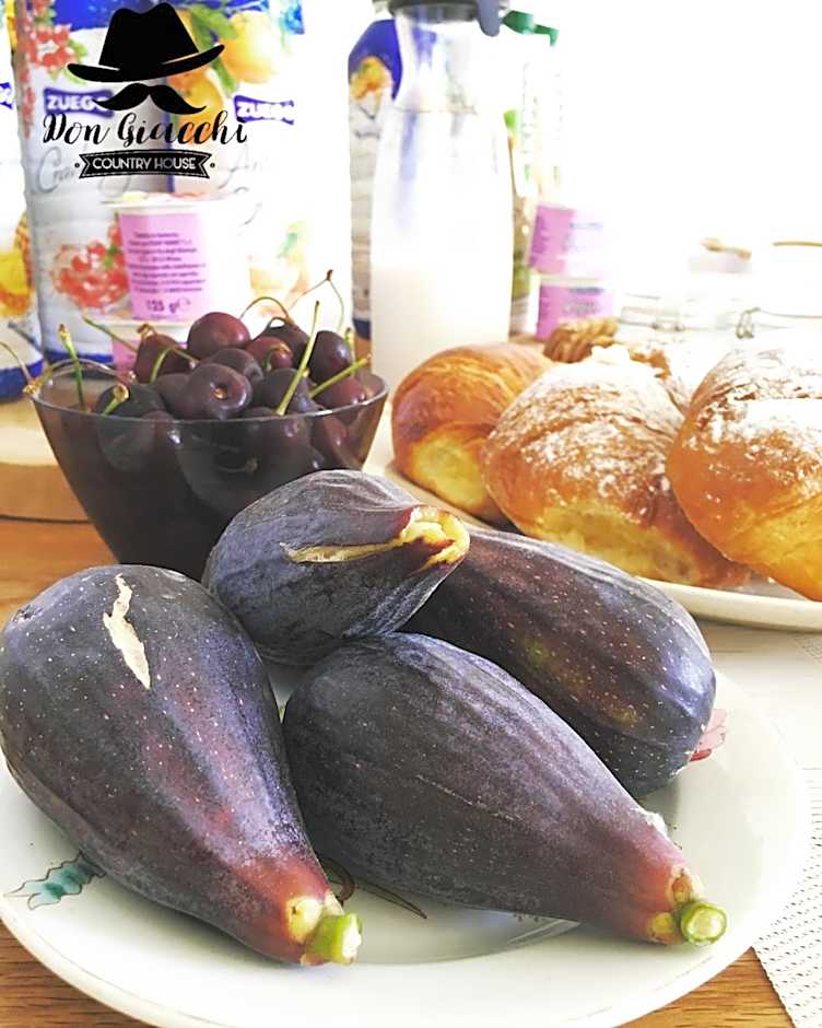 Don Giacchì Country House