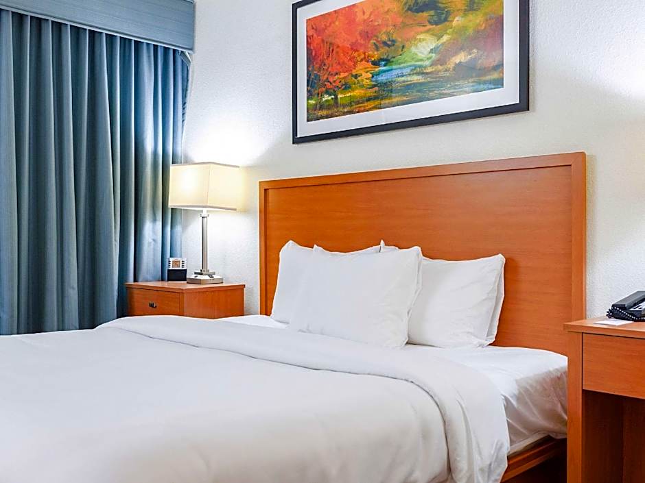 Comfort Suites Baton Rouge South I-10