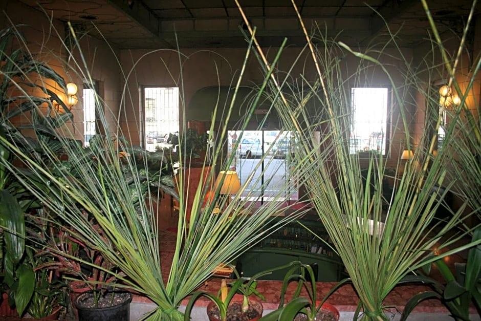 Albert Hotel