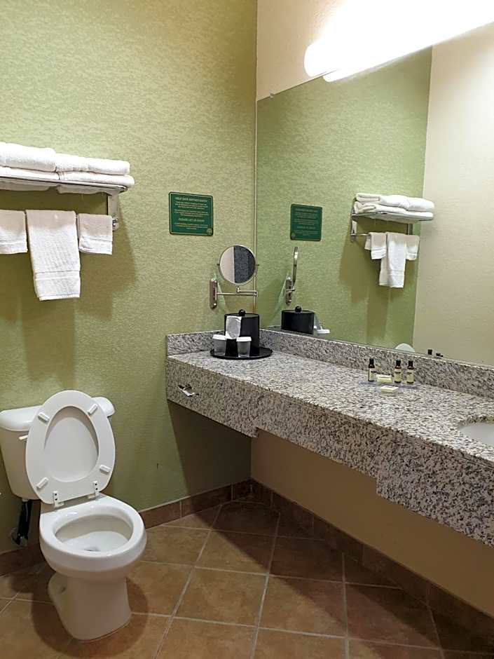 Hawthorn Extended Stay By Wyndham Kingsland