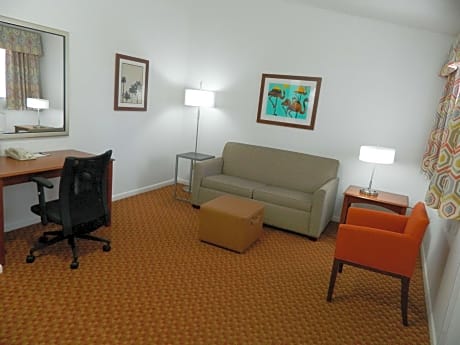 King Suite with Bathtub - Disability Access
