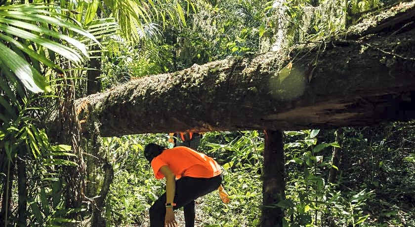 Lesong Hotel and Restaurant