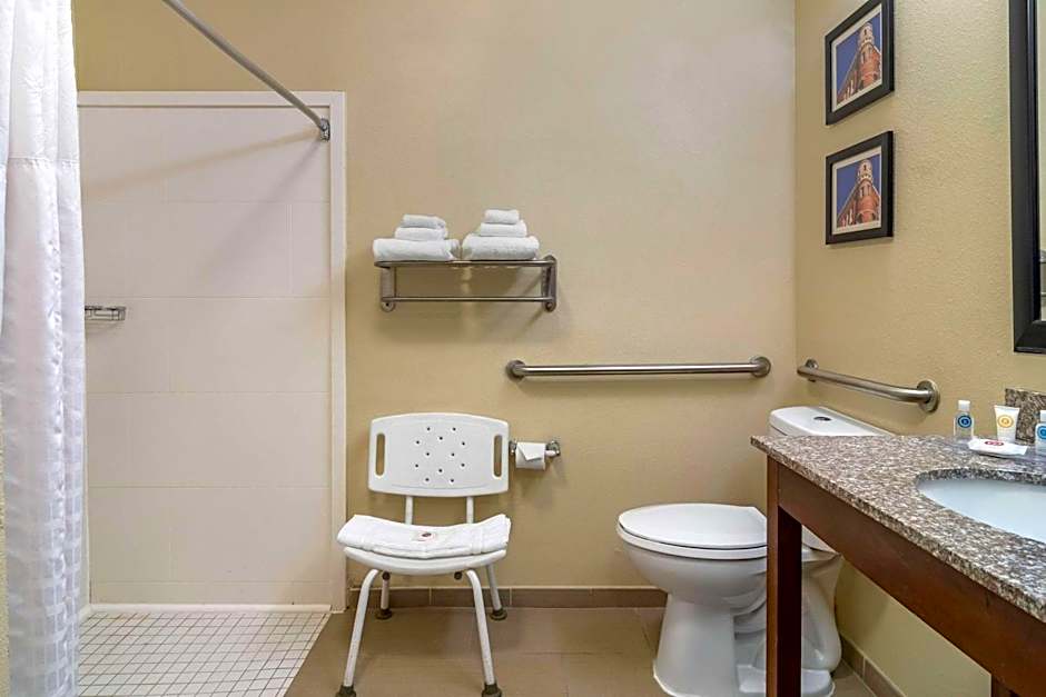Comfort Inn & Suites Macon North I-75