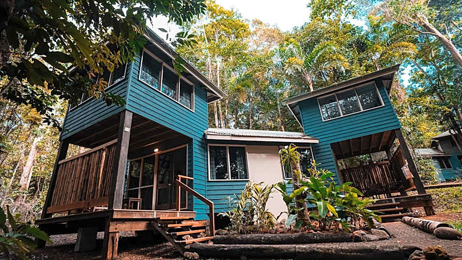 Ferntree Rainforest Lodge