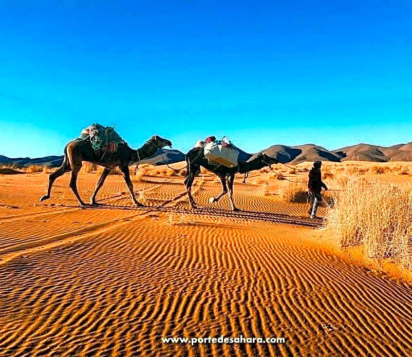 Porte De Sahara Ouzina