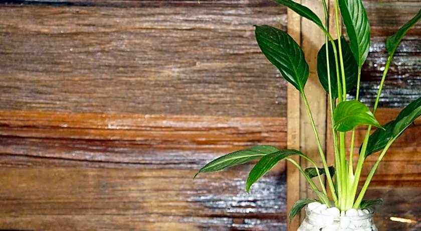 Lam Ecolodge Mu Cang Chai