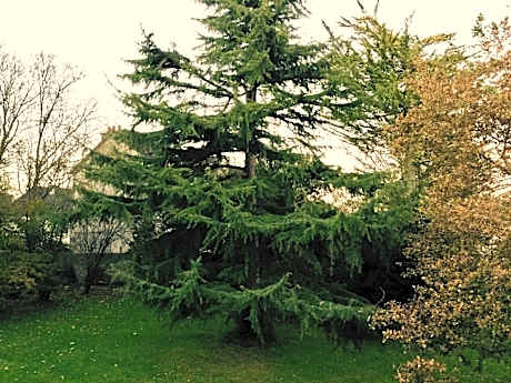 King Suite with Spa Bath