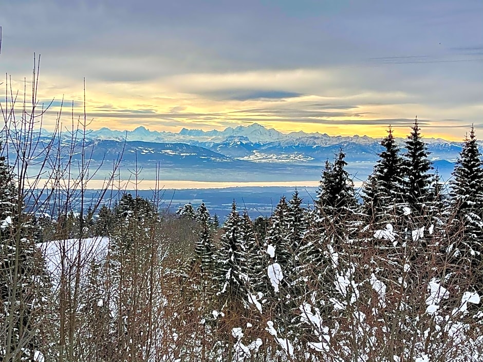 Gîte avec terrasse et belle vue - ChaletNelda com