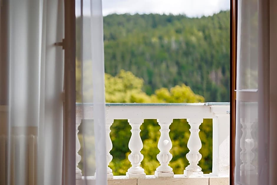 Hotel Château Cihelny