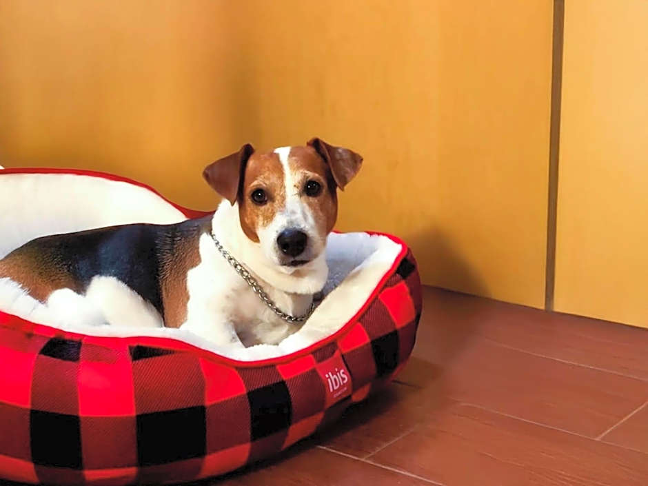 Ibis Cancun Centro Hotel