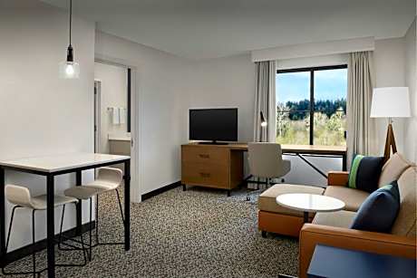 One-Bedroom King Suite with View and Sofa Bed - Mobility/Hearing Accessible with Tub