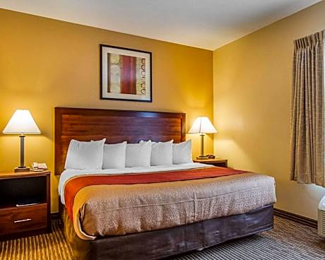 1 King Bed, Suite, Nonsmoking