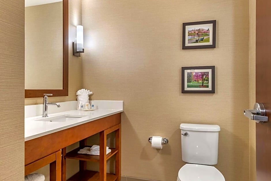 Comfort Suites Camp Hill-Harrisburg West