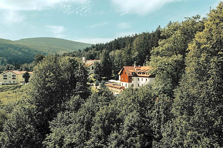 Hotel Le Mont Medical & SPA