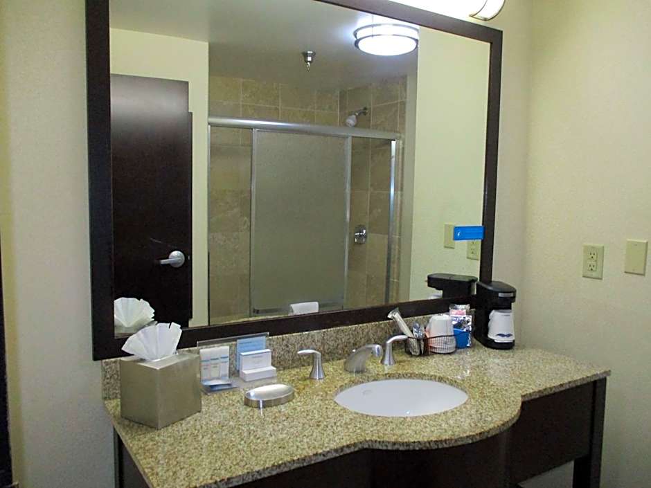 Hampton Inn By Hilton - Suites Las Vegas South