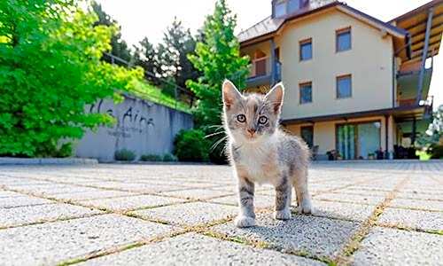 Villa Aina Boutique Hotel