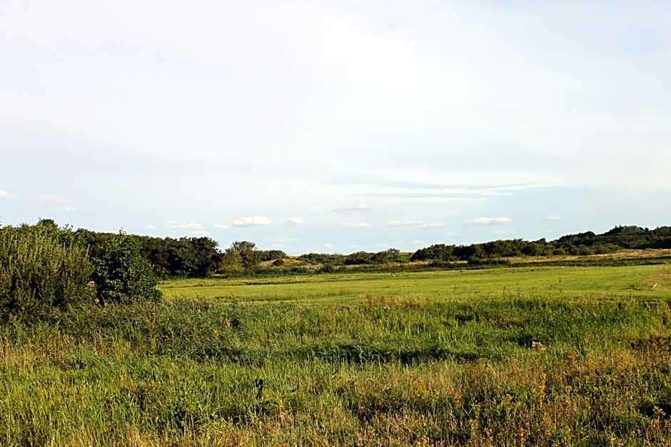 Hotel Studio Bosch Duin Strand