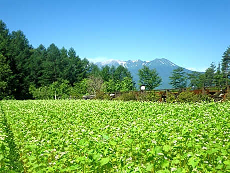 Twin Room with Shared Bathroom and Toilet