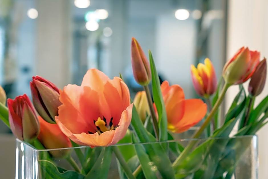 Gästehaus am Schloss