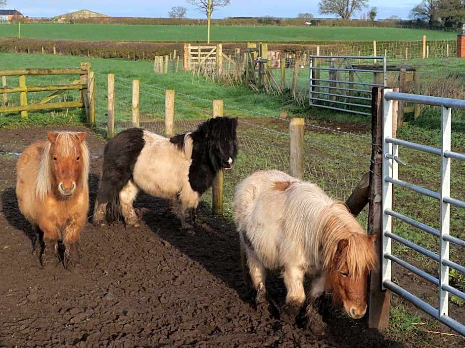 The Moorhead Bed & Breakfast