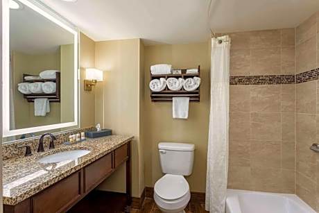 King Room - Non-Smoking