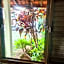 Hospedaria do Ernesto