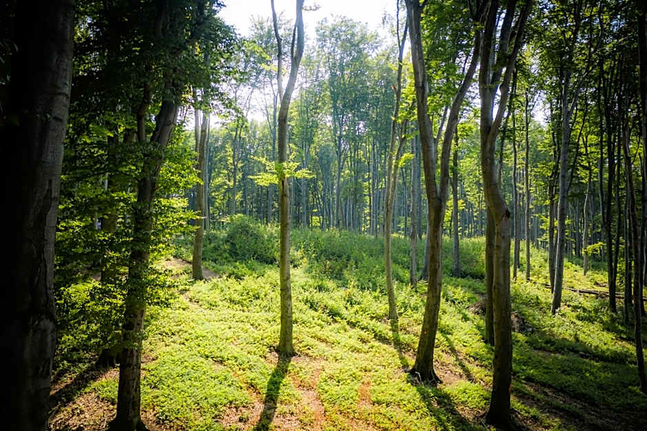 4 Évszak Hegyihotel