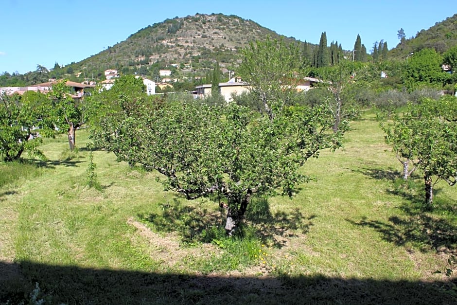 Hotel Des Oliviers