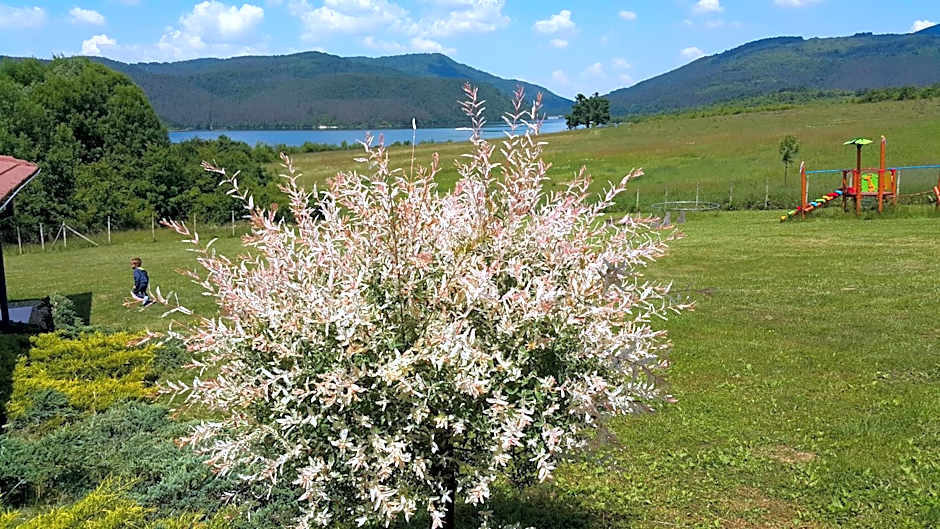 Complex Pristan in the mountain