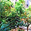 Ad Hoc Domus Guest House