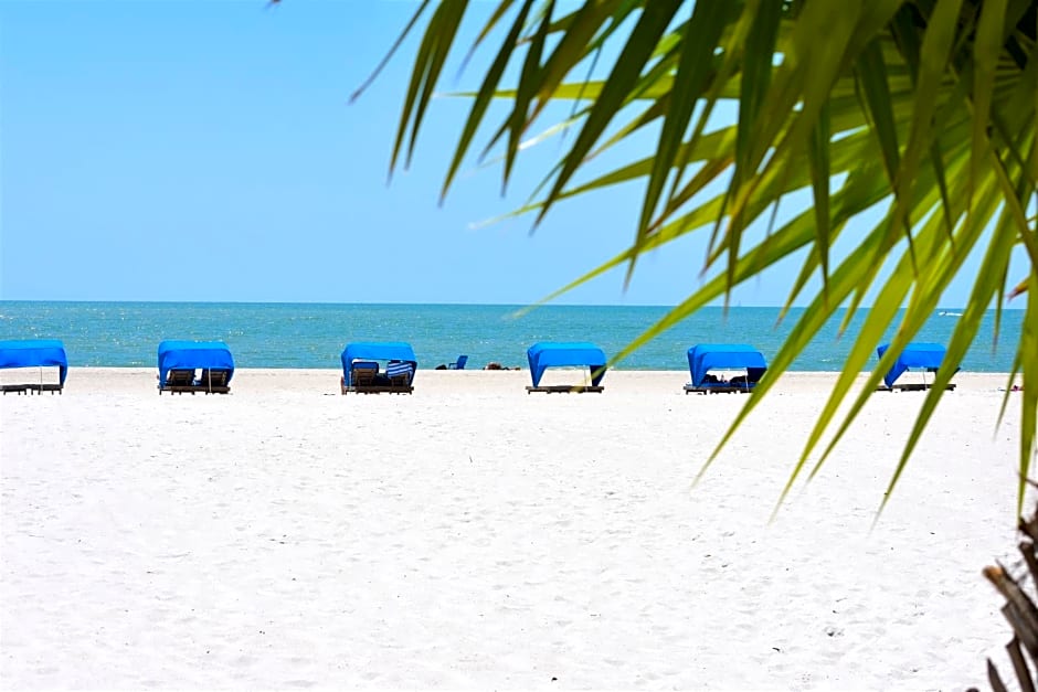 Barefoot Beach Club