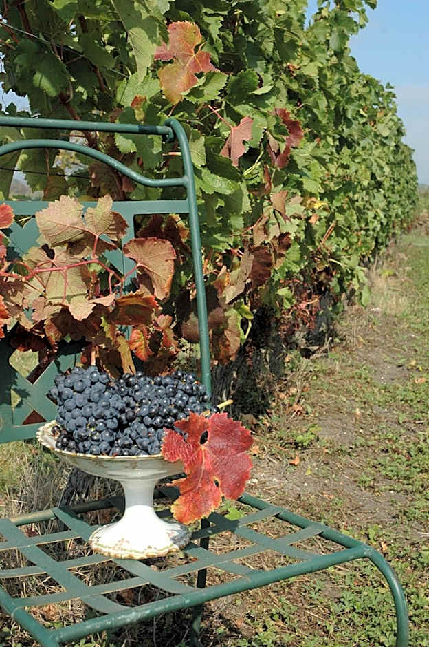 Domaine de la Queyssie