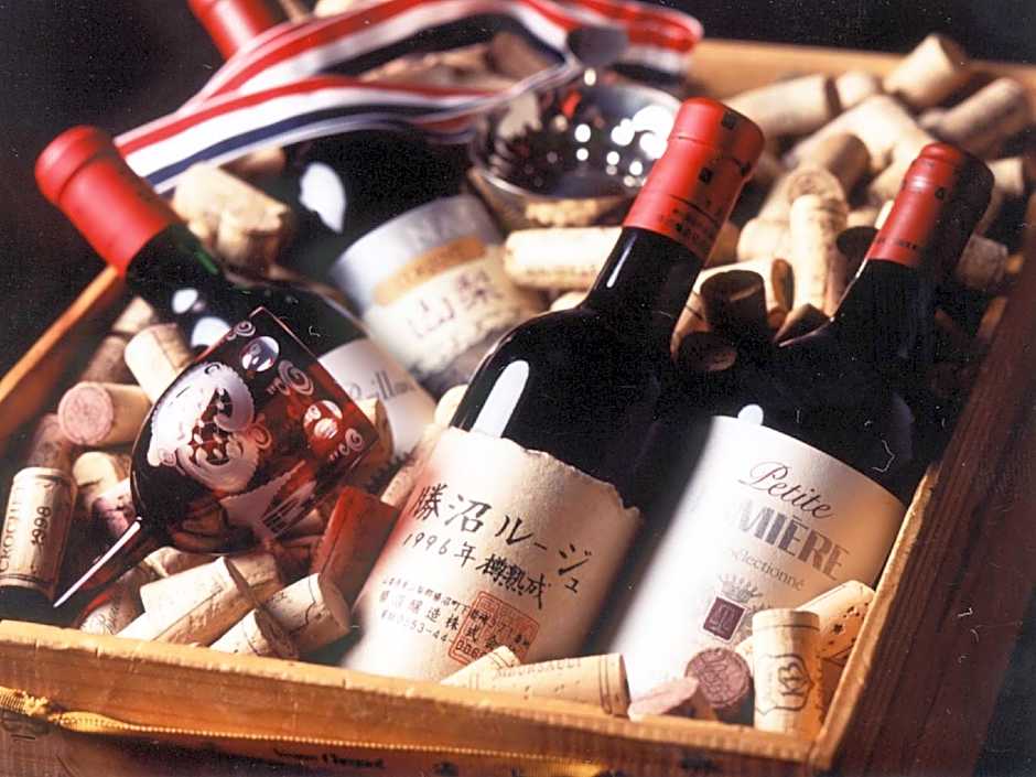 Kawaguchiko Lakeside Hotel