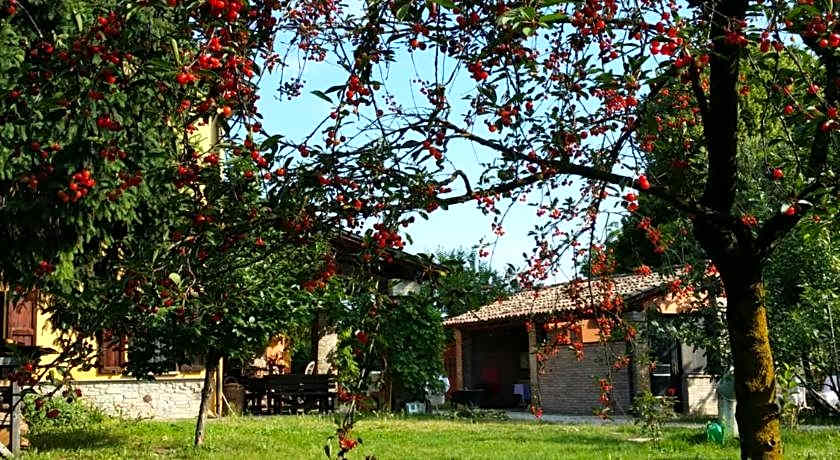 R&B Albero Cavo Parma