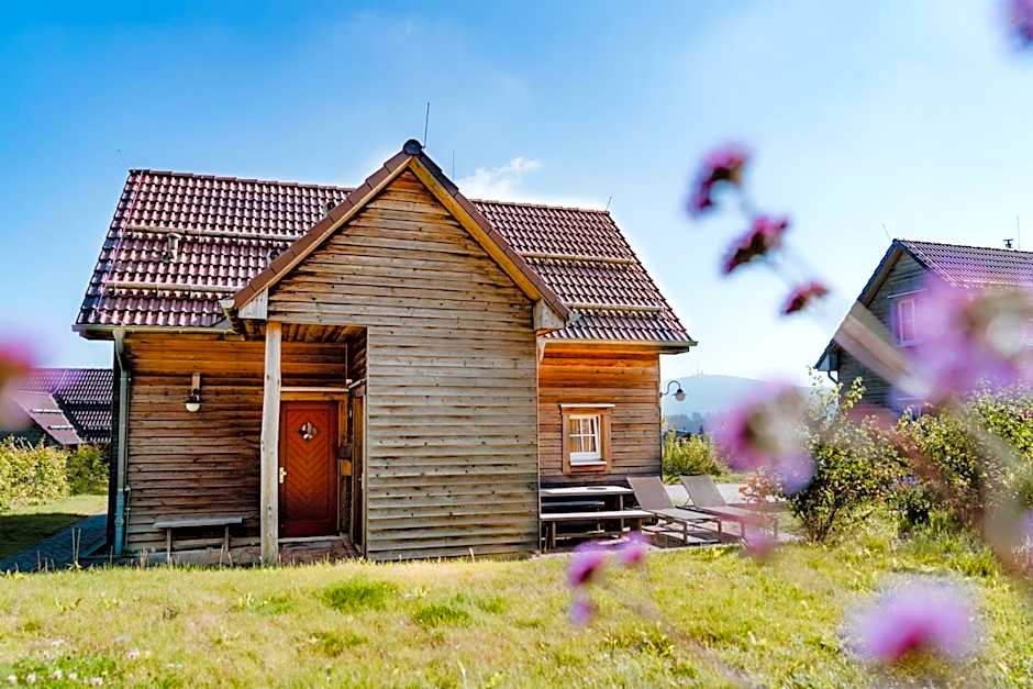 Photo 1 of 50 of Torfhaus Harzresort