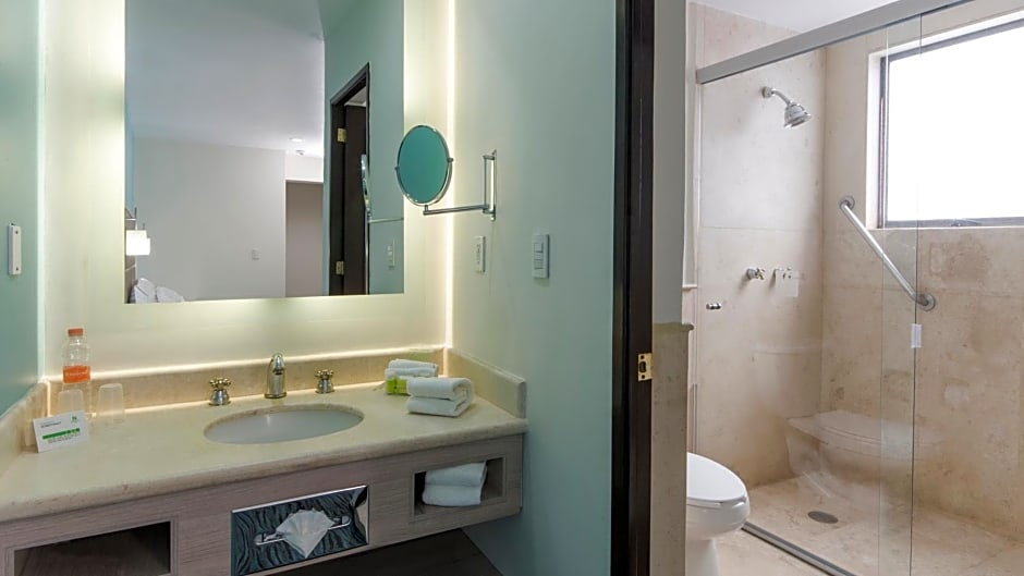 Holiday Inn & Suites Mexico Zona Reforma By IHG
