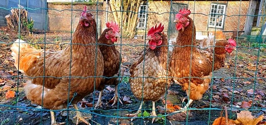 Chambres d'Hôtes des Rouets