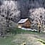 Alpen Suites Brandnertal