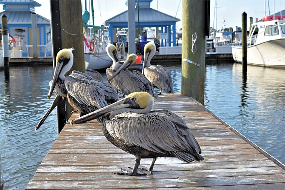 Cove Inn on Naples Bay