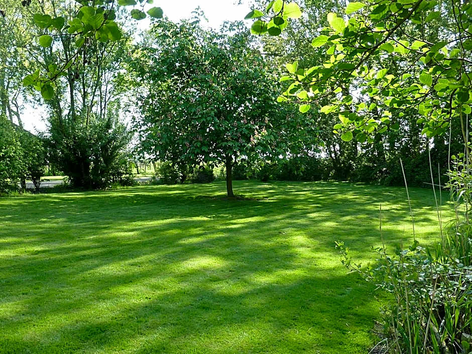 Bed & Breakfast De Koegang