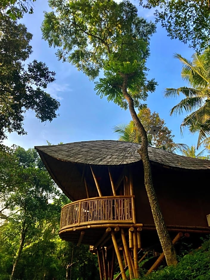 Bamboo Turtles Ecolodge