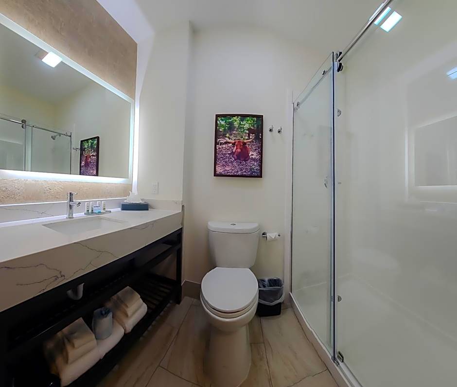 La Quinta Inn & Suites by Wyndham Dallas Mesquite