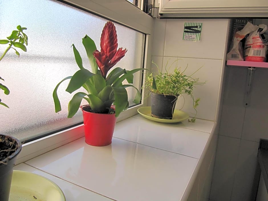 Mellow Hostel Barcelona