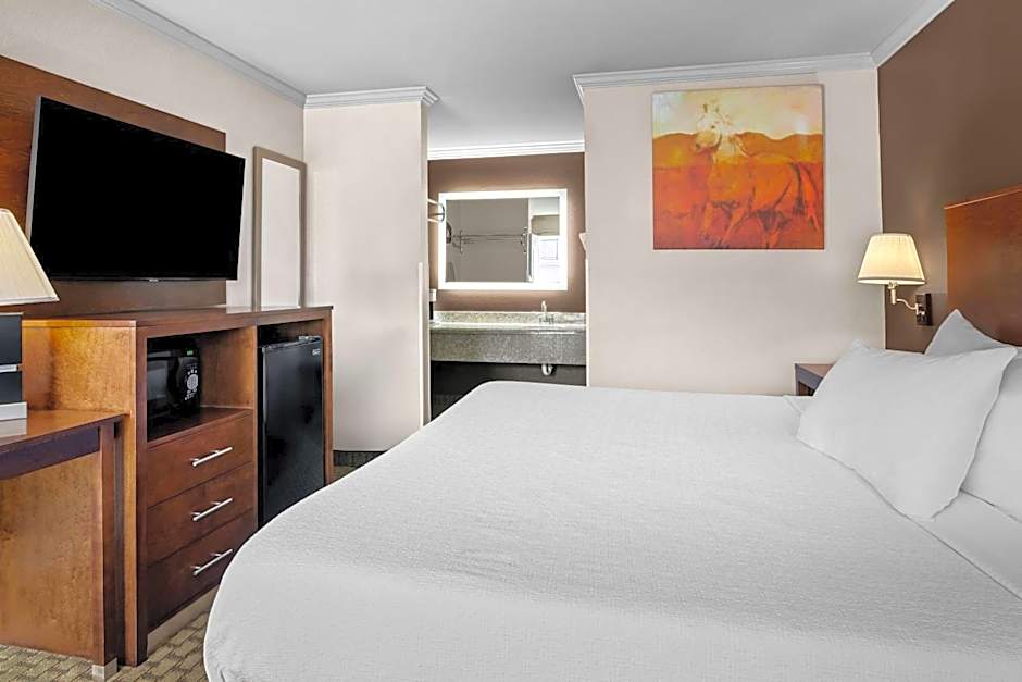 Best Western Skyline Motor Lodge