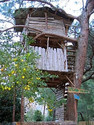 Bayrams Tree Houses