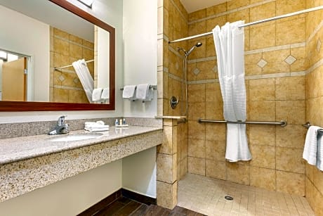 1 Bedroom Accessible