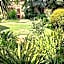 Villa Verde